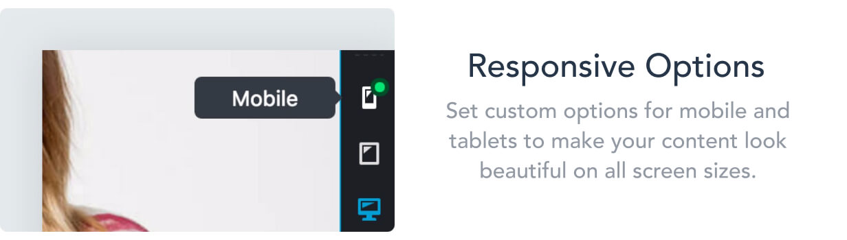 responsive options - Flatsome | Multi-Purpose Responsive WooCommerce Theme