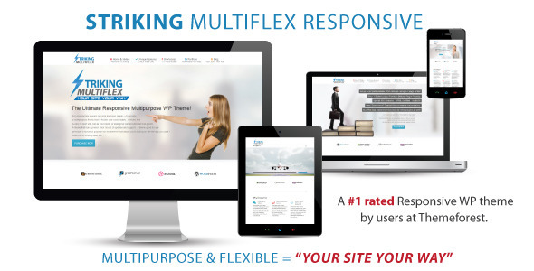 striking mf tf large preview.  large preview - Striking MultiFlex & Ecommerce Responsive WP Theme