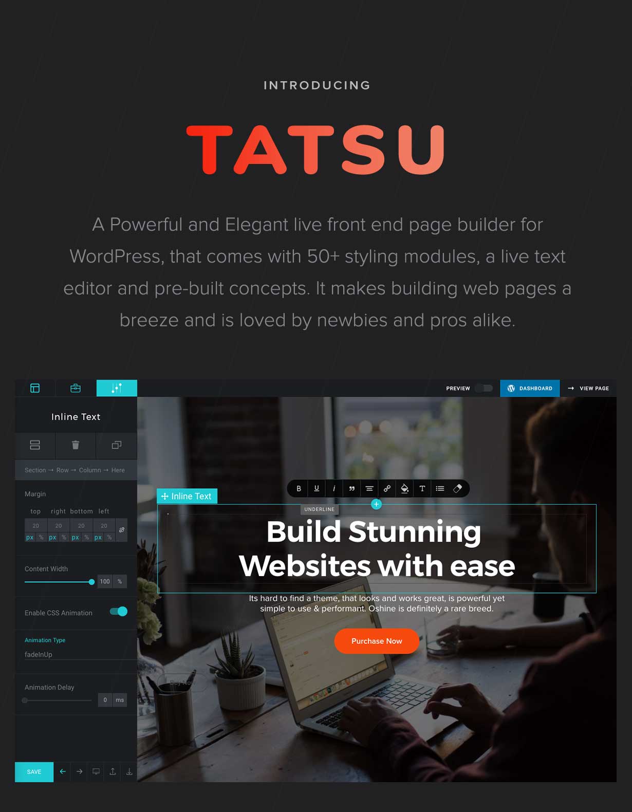 tatsu - Oshine - Multipurpose Creative WordPress Theme