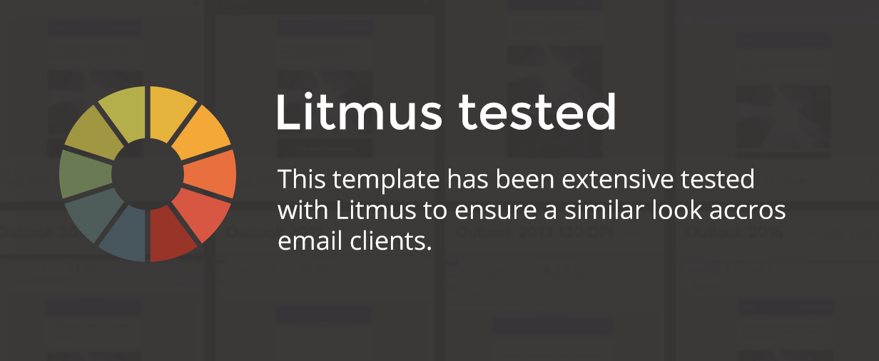 litmus - Market - Email Template for Mailster