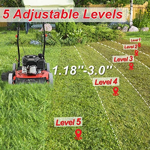 61T9YwGgMPL. AC  - PowerSmart Lawn Mower, 21-inch & 170CC, Gas Powered Push Lawn Mower with 4-Stroke Engine, 2-in-1 Gas Mower in Color Red/Black, 5 Adjustable Heights (1.18''-3.0''), DB2321CR