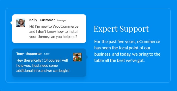 Expert support