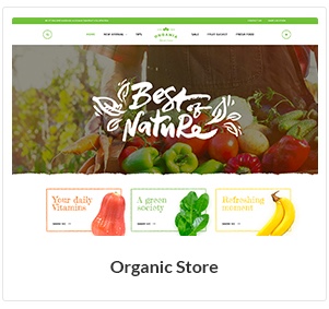 Organic Store WooCommerce Theme