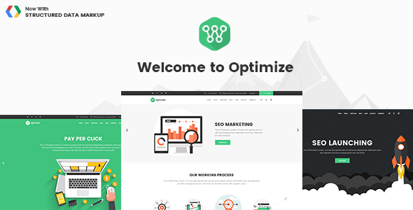 1608641946 144 00 preview.  large preview - Optimize - SEO & Social Media Theme