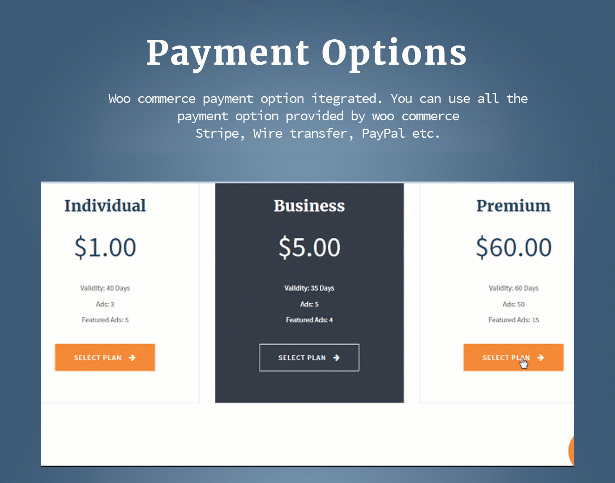 payment option - AdForest - Classified Ads WordPress Theme
