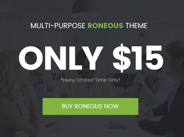 sale 15 - Roneous - Creative Multi-Purpose WordPress Theme