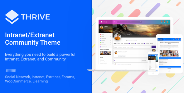 01 preview1.  large preview - Thrive - Intranet & Community WordPress Theme