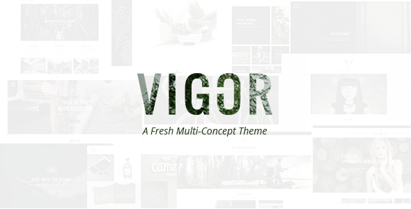 1616543157 408 00 preview.  large preview - Vigor - Vintage WordPress Theme