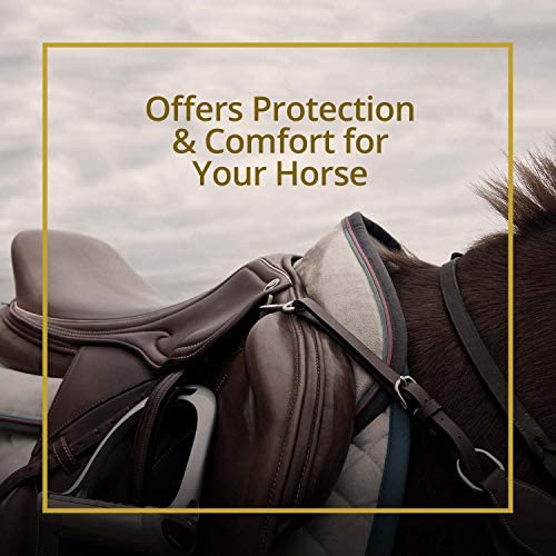 51f68nOj7BL. AC  - Kavallerie Saddle Pad - Helps with Saddle Bridging, Sore Back, Swayed Back, High Withers -English Bareback Pad for Horses, Protective, Perfect for Eventing, Schooling, Dressage, Jumping- Middle Riser