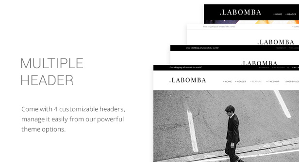 Labomba - Responsive Multipurpose WordPress Theme - 13