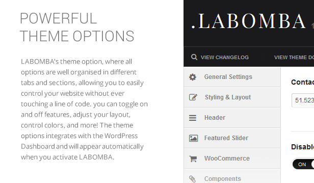 Labomba - Responsive Multipurpose WordPress Theme - 8