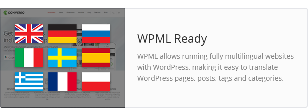 WPML Support