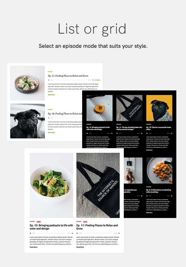 Podcaster - Multimedia WordPress Theme - 8