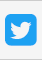 twitter - Megatron - Responsive MultiPurpose WordPress Theme