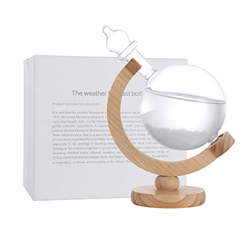 41TuHhoP6JL - DRESSPLUS Globe Storm Glass Weather Station with Wooden Base,Creative Fashionable Storm Glass Weather Forecaster,Home and Party Decoration (B)