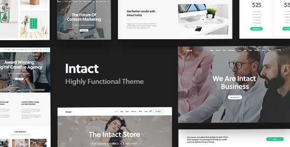 01 preview.  large preview - Intact - Multi-Purpose WordPress Theme