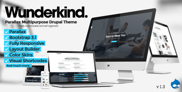 1634774172 232 01 preview.  large preview - Wunderkind - One Page Parallax Drupal 7 Theme