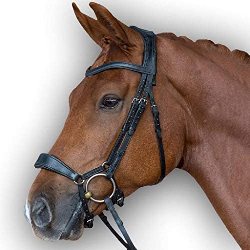 51wCTMdDf6L. AC  - Leather Premium Shaped Padded Bridle for Horses | Available in Multiple Sizes & Colors