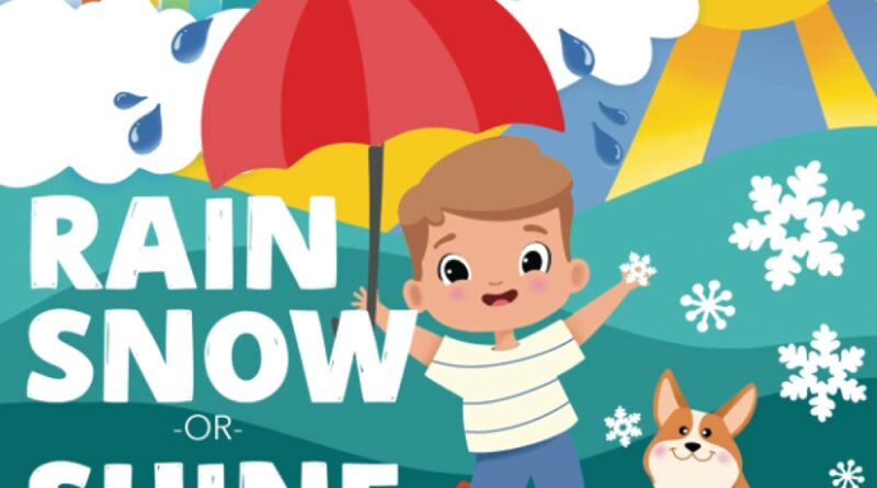 1636109980 611lmsdzxtL 800x445 - Rain, Snow or Shine: A Book About the Weather