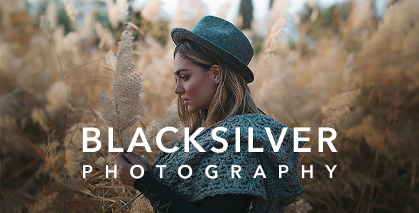 1 preview.  large preview - Blacksilver | Photography Theme for WordPress