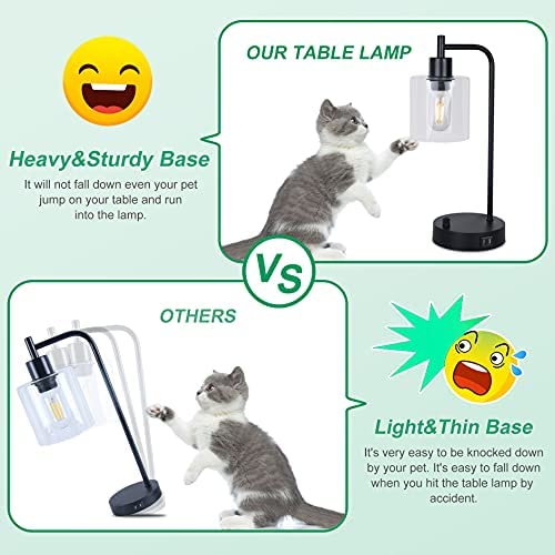 51C9upAQRzS. AC  - Set of 2 Industrial Table Lamp with 2 USB Ports, winshine Fully Dimmable Nightstand Desk Lamp with 60W Equivalent Bulb, Glass Shade Bedside Lamp for Bedroom, Living Room, LED Bulbs Included