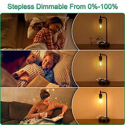 51sZmex8xYS. AC  - Set of 2 Industrial Table Lamp with 2 USB Ports, winshine Fully Dimmable Nightstand Desk Lamp with 60W Equivalent Bulb, Glass Shade Bedside Lamp for Bedroom, Living Room, LED Bulbs Included