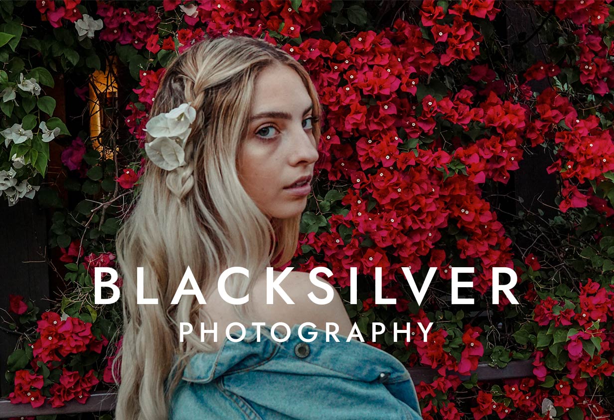 image 1 - Blacksilver | Photography Theme for WordPress