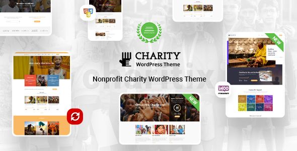 preview.  large preview - Charitix | Nonprofit Charity WordPress Theme