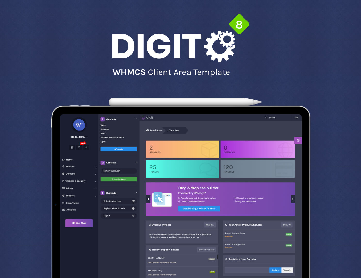 01 intro - Digit - Responsive WHMCS Client Area Template