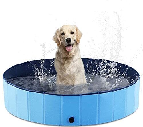 1641610957 41N5QiwtknL. AC  500x445 - AHK Dog Pool for Large Dogs, Folding Kiddie Pool, Portable Pet Pools for Dogs, Collapsible Swimming Pool for Kids