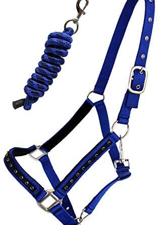 1643261546 41vbXUocWXL. AC  313x445 - PRORIDER Nylon Horse Halter Hardware Padded Lead Rope Tack Blue Rodeo Bling 606162RB