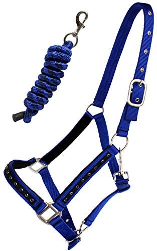 41vbXUocWXL. AC  - PRORIDER Nylon Horse Halter Hardware Padded Lead Rope Tack Blue Rodeo Bling 606162RB