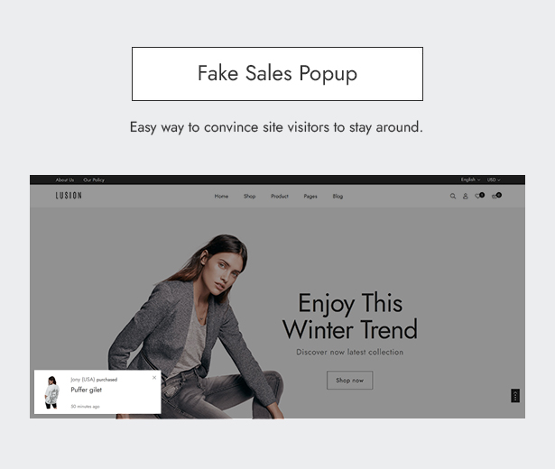 Fake sales - Lusion - Multipurpose eCommerce WordPress Theme