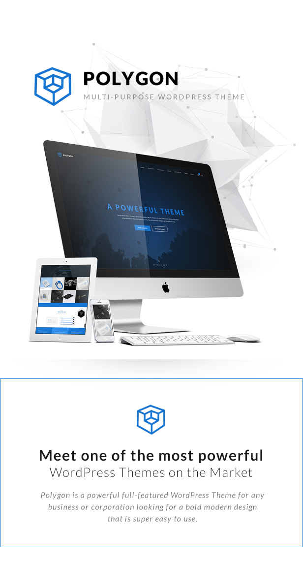 1646028455 432 1 - Polygon - Business Corporation  Agency WP Theme