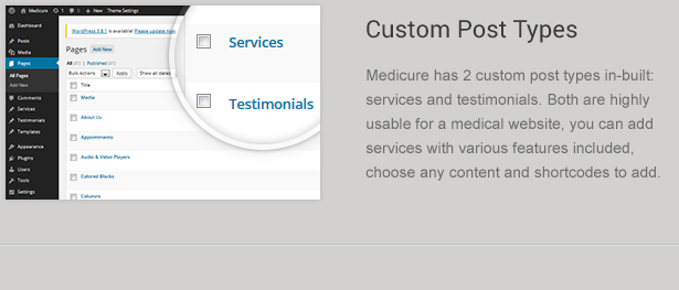 custom wp post types - MediCure – Health  & Medical Wordpress Theme