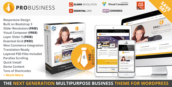 01 banner.  large preview - PRO Business - Responsive Multi-Purpose Theme