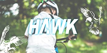 784ba163 87af 44e5 8809 b926abfbeb02.  CR0,0,1500,750 PT0 SX350 V1    - JOYSTAR Hawk Boys Bike for 3-6 Years Child, 14" & 16" Kids Bicycle with Hand Brake & Training Wheels(Black Blue Green)