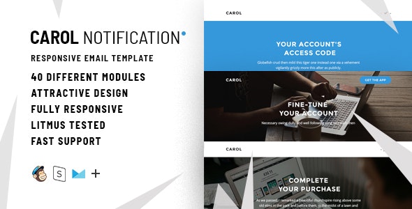 Carol notific.  large preview - Carol – 100+  Responsive Modules + StampReady, MailChimp & CampaignMonitor compatible files