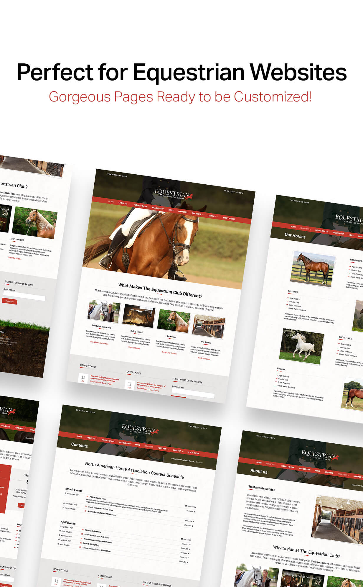 04 - Equestrian - Horses and Stables WordPress Theme