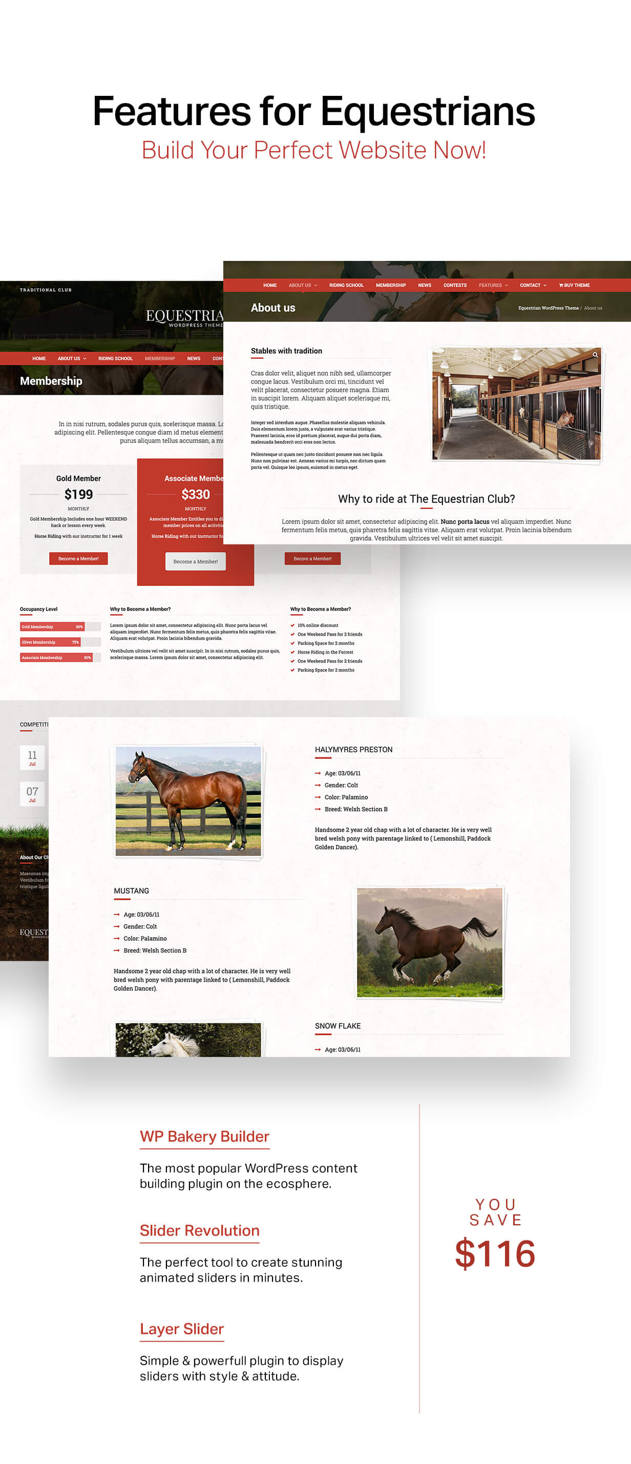 05 - Equestrian - Horses and Stables WordPress Theme