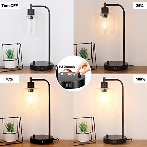 41y5GaTMCeL. AC  - Set of 2 Industrial Table Lamps with 2 USB Port, Fully Stepless Dimmable Lamps for bedrooms, Bedside Nightstand Desk Lamps with Seeded Glass Shade for Reading Living Room Office 2 LED Bulb Included