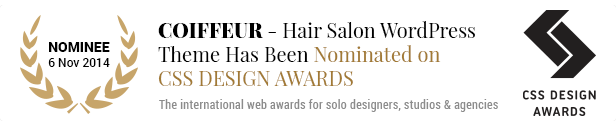 award banner - Coiffeur - Hair Salon WordPress Theme
