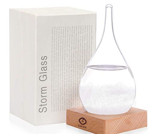 1657297534 41dkWkoRvDL 500x445 - Storm Glass Weather Station Weather Forecaster, Stylish and Creative Drop-Shaped Glass Barometer, Home and Office Decorative Glass Bottles (S1)
