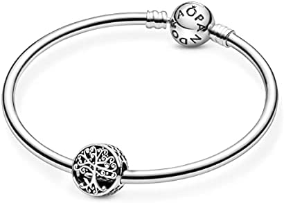 317GdPX697S. AC  - Pandora Jewelry Family Roots Sterling Silver Charm