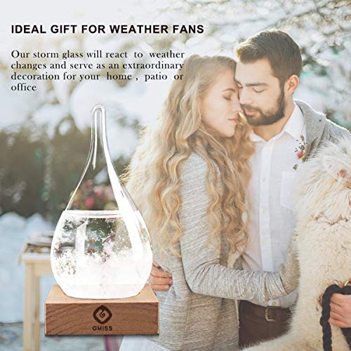 51C3e5PF1 L - Storm Glass Weather Station Weather Forecaster, Stylish and Creative Drop-Shaped Glass Barometer, Home and Office Decorative Glass Bottles (S1)