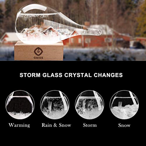51yEhe6FvQL - Storm Glass Weather Station Weather Forecaster, Stylish and Creative Drop-Shaped Glass Barometer, Home and Office Decorative Glass Bottles (S1)