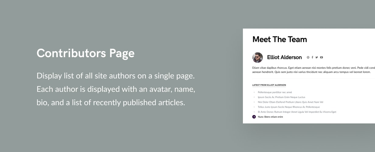 contributors page - Squaretype - Modern Blog WordPress Theme