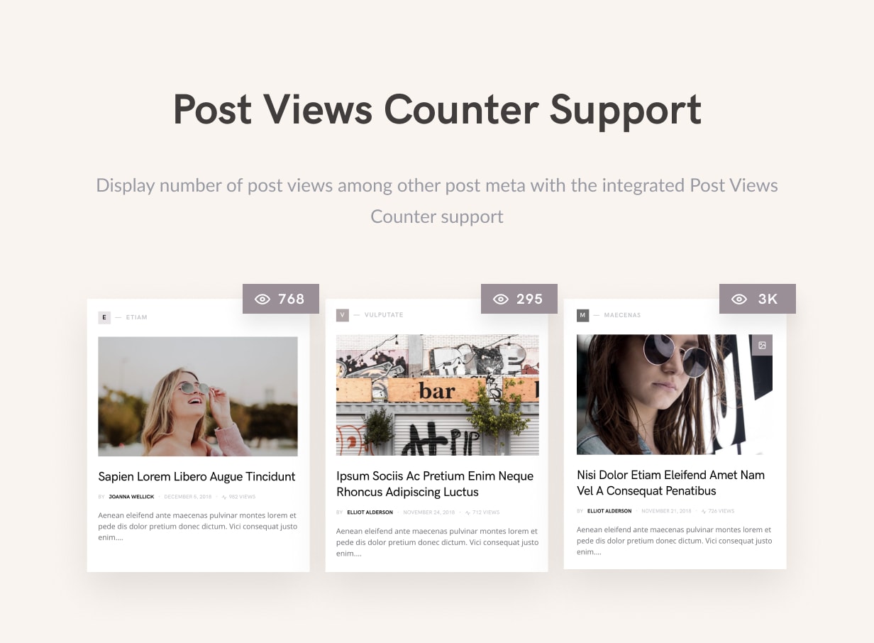 post views - Squaretype - Modern Blog WordPress Theme