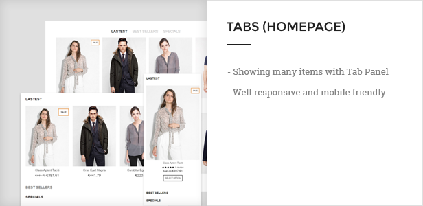 tabs - Anormy - Flexible Shopify Template