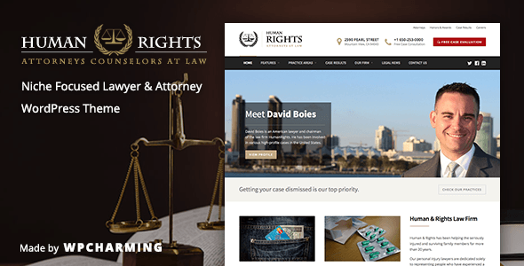 01 preview1.  large preview - HumanRights - Lawyer and Attorney WordPress Theme